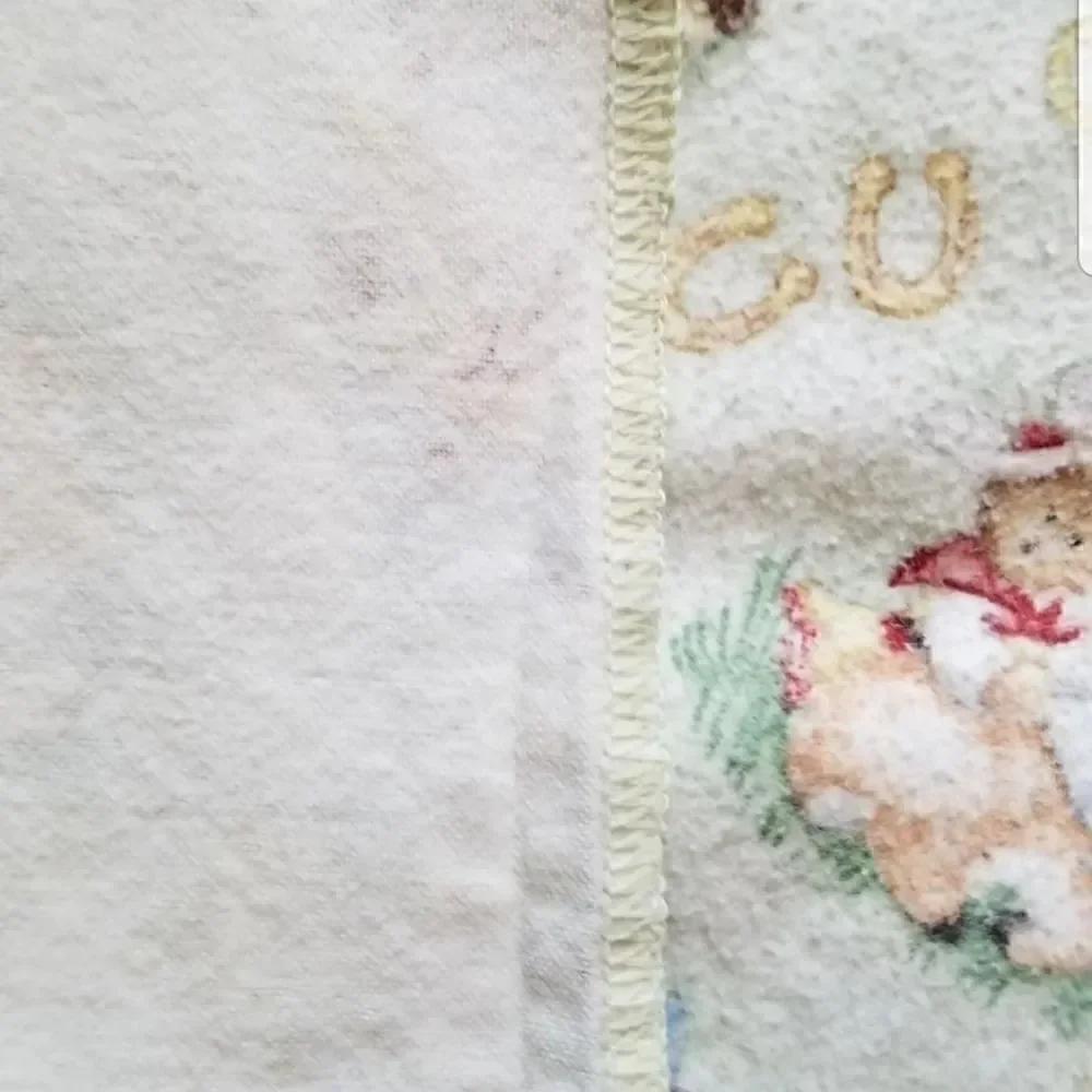 Western teddy bear fleece blanket mint green